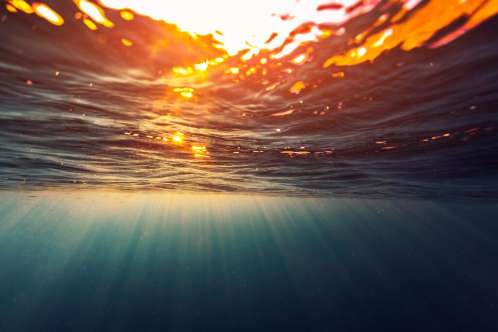 The future of sustainability: 4 fast-emerging trends