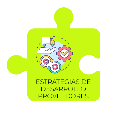 ESTRATEGIAS DE DESARROLLO PROVEEDORES
