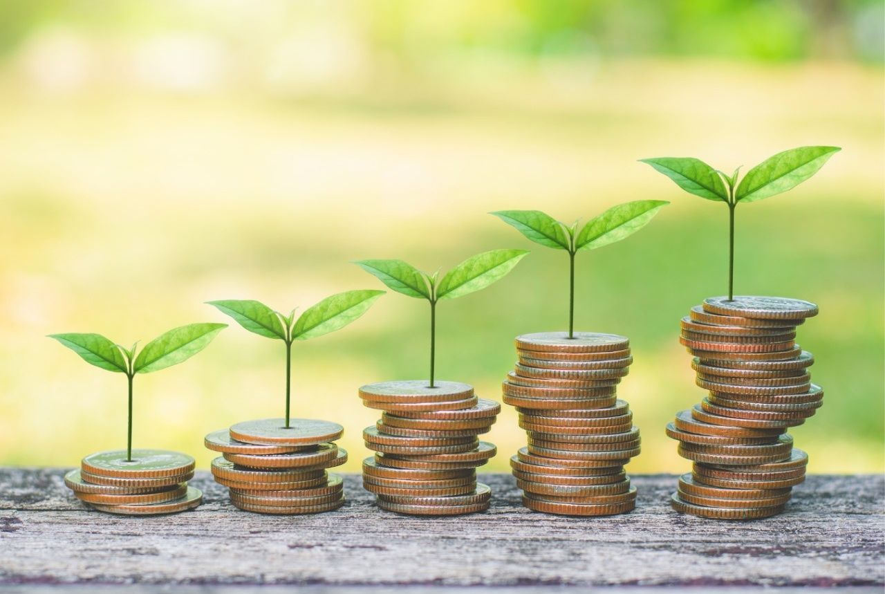 Inversión Responsable: Un Pilar Estratégico para la Materialidad Financiera y la Sostenibilidad Corporativa
